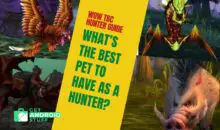 Best WoW TBC Hunter Pets and How to Get Them